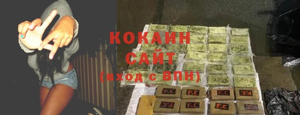 стафф Арсеньев