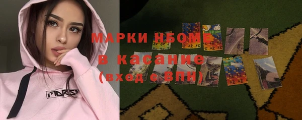 стафф Арсеньев