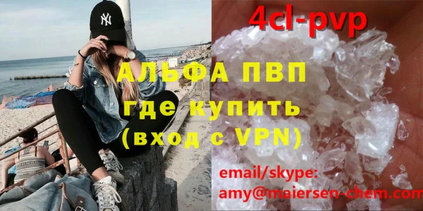 стафф Арсеньев