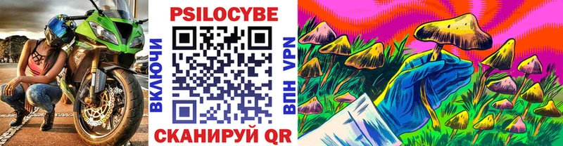 Псилоцибиновые грибы Cubensis  Сусуман 